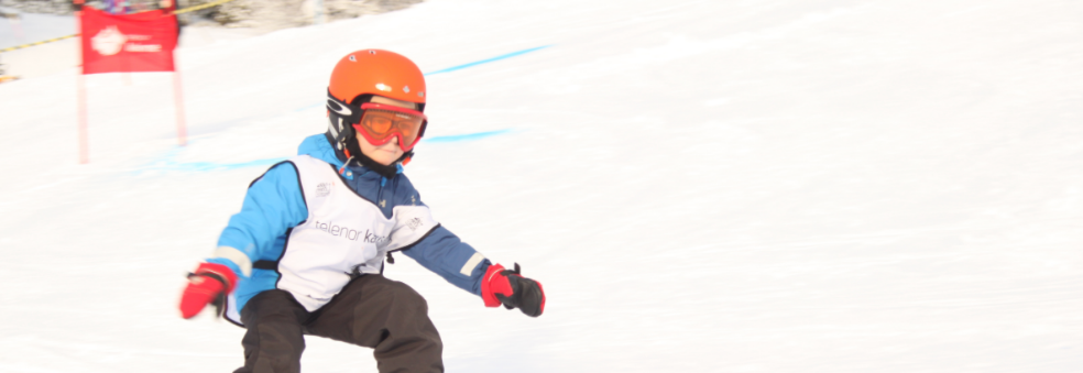 Blink Skiskole 2019